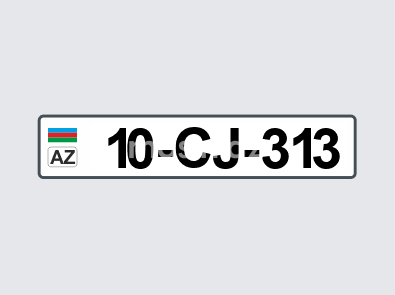 10-CJ-313
