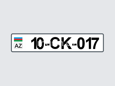 10-CK-017