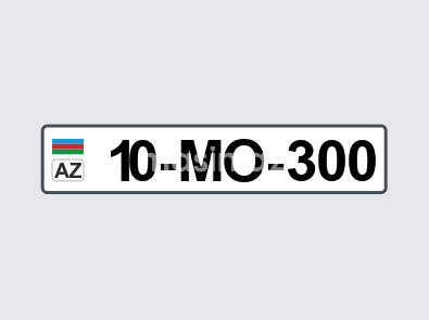 10-MO-300