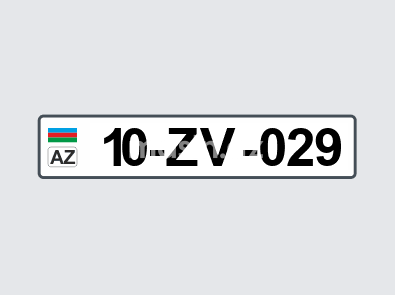 10-ZV-029