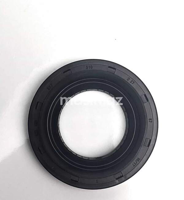 Hyundai Elantra - Salnik