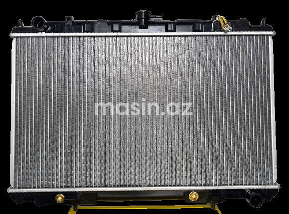 Nissan Maxima - Su radiatoru