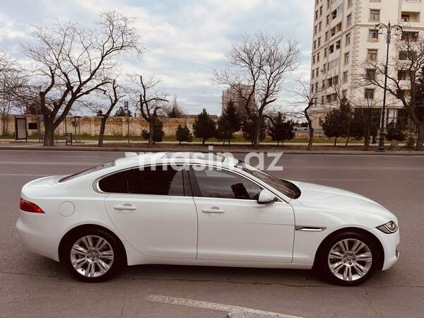 Jaguar XF - Image 2