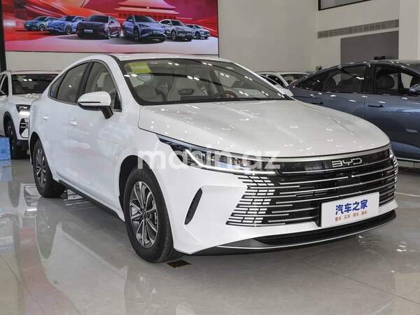 BYD Destroyer 05 - Image 3