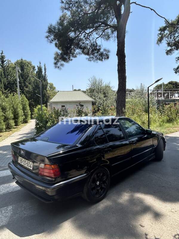 BMW 320e - Image 4