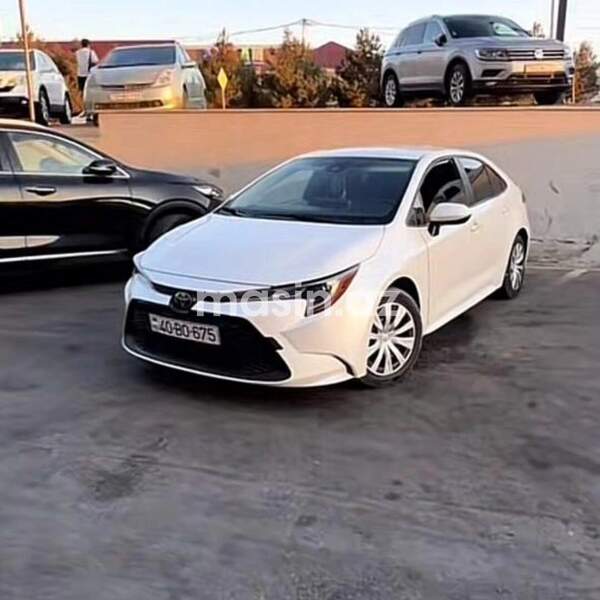 Toyota Corolla Levin - Image 3