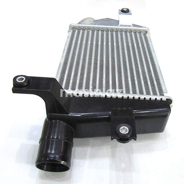 Radiator Mitsubishi (MN135001 D)