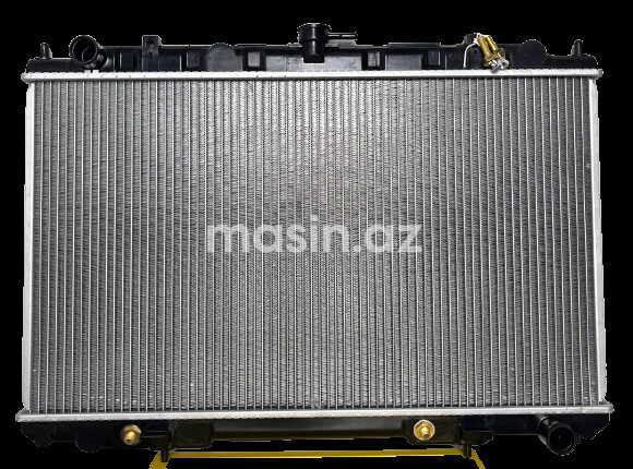 Nissan Sunny- Su radiatoru